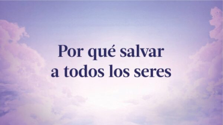 «Por qué salvar a todos los seres» por el fundador de Falun Gong el Sr. Li Hongzhi