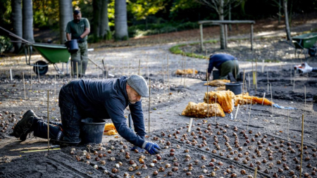 El empleo extranjero aumentó en 2024 en 212.042 afiliados, hasta los 2,88 millones