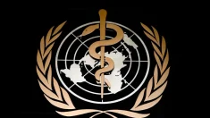 ¿Qué está pasando en la Organización Mundial de la Salud?