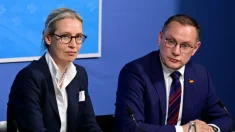 La justicia alemana suspende la etiqueta de extrema derecha para AfD