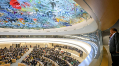 El «creciente ejército» de ONG proPekín en la ONU