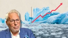 Fritz Vahrenholt: El hielo antártico y el hielo marino del Ártico vuelven a crecer