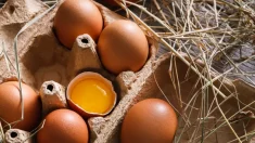 Los huevos como superalimento: ¿Qué tesoros nutricionales contienen la yema y la clara?