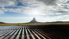 La trampa de las energías renovables: una advertencia a los países que persiguen ciegamente la sostenibilidad