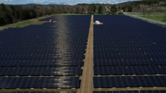 Alarma por «paneles solares espía» chinos en Australia
