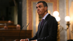 Ley de Secretos Oficiales: ¿el candado del Gobierno para blindar su corrupción?