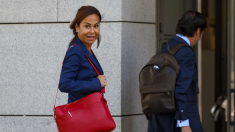 Le retiran el pasaporte a Pardo de Vera y Herrero por el Caso Koldo: ¿Se cierra el cerco sobre el PSOE?