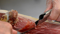 La UE aprueba alimentos sintéticos mientras la FAO alerta de posibles efectos adversos para la salud
