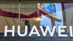 Más de 500 instituciones públicas utilizan la RedIRIS-NOVA100 con equipos de Huawei