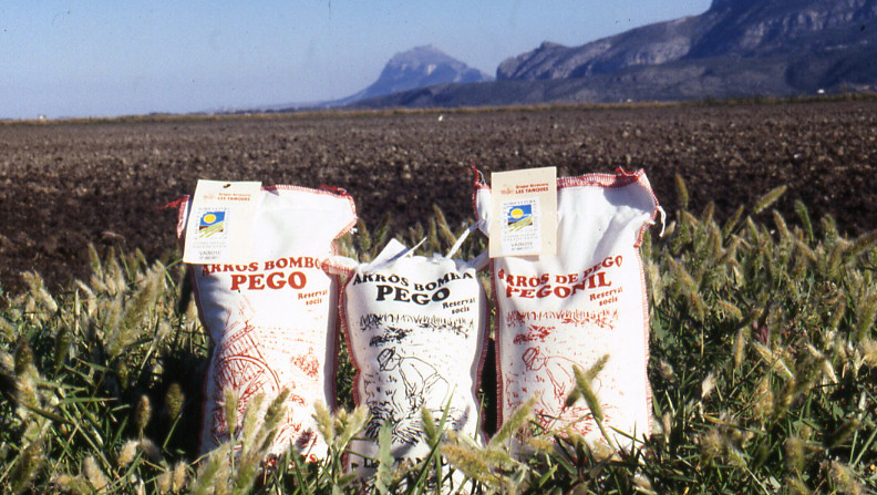 Proyecto de recuperación  de las variedades autóctonas de arroz de la marjal Pego-Oliva. Crédito: pegonatura.es