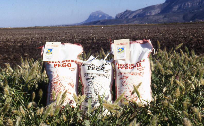 Orgullo valenciano: una semilla de arroz de 132 años deleita paladares en España y el resto del mundo