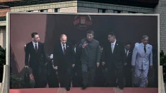 El diálogo entre Putin y Xi sobre trasplantes de órganos reaviva la preocupación por la sustracción de órganos en China