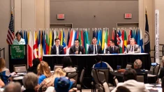 Una película sobre el tráfico ilícito de órganos en China genera preocupación en el público de Washington D. C.