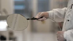 El gobierno holandés toma el control del fabricante de chips de propiedad china Nexperia