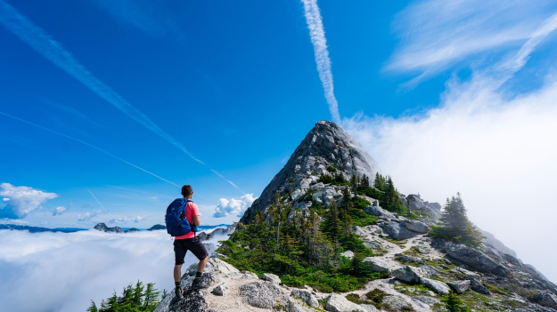 La naturaleza no solo cautiva los sentidos, sino que también tiene muchos beneficios para el cuerpo