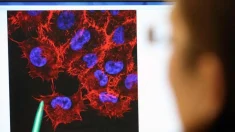 Nuevo estudio: aumento de las tasas de cáncer tras la vacunación contra el COVID-19