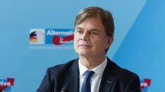 Antifa reivindica el incendio del coche del político de Alternativa por Alemania Bernd Baumann