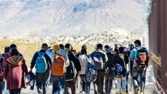 EE. UU.: Localizan 30 000 niños inmigrantes ilegales desaparecidos