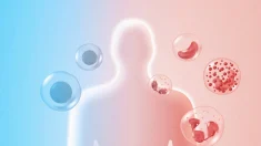 Un descubrimiento reconocido con el Premio Nobel podría transformar el tratamiento de las enfermedades autoinmunes y del cáncer