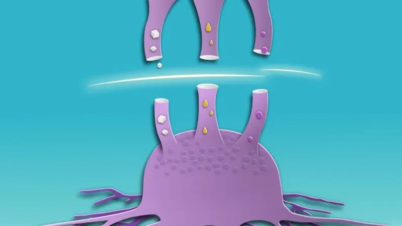 Ilustración

Foto: Epoch Times