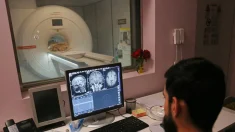 El cerebro tiene cinco etapas importantes a lo largo de la vida, según un estudio