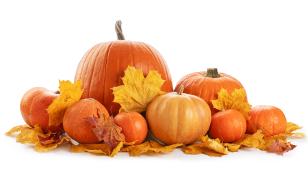 La calabaza: imprescindible en Halloween y aliada de tu bienestar