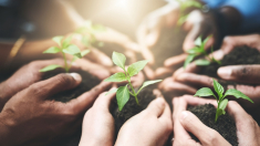 «No hay crisis climática»: la Asociación de Realistas Climáticos asegura en Madrid tener pruebas que desmienten el alarmismo