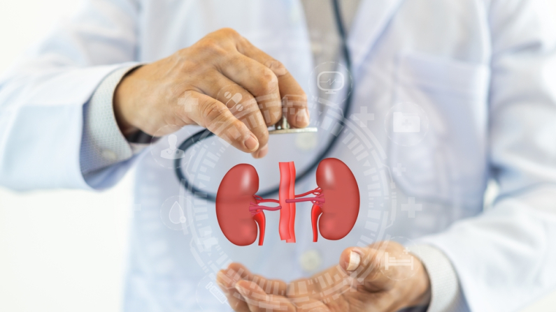Cuidado de la salud renal con tecnología médica, prevención de enfermedades de detección renal, innovación de atención médica moderna con Asistencia hospitalaria, cáncer, chequeo de seguro de salud con un médico para el bienestar renal.