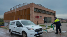 MINUTO A MINUTO | Peste porcina en Barcelona: Seis científicos investigarán en centros catalanes el origen del foco