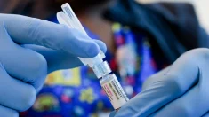 Un memorando interno de la FDA vincula las muertes infantiles con la vacunación frente a la COVID-19