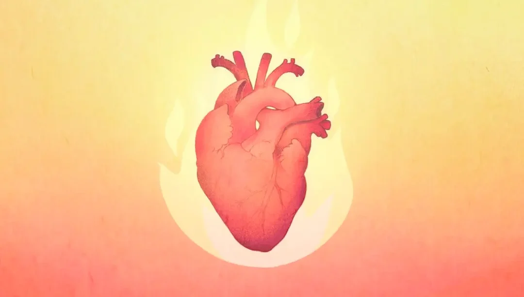 El corazón es el órgano rey que rige la alegría: cómo nutrirlo