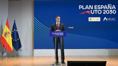 El Gobierno presenta el Plan España Auto 2030 con fondos públicos para una electrificación total del mercado en 2035